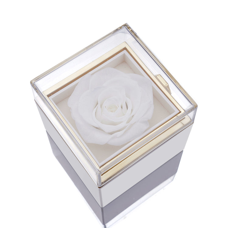 Boîte à bijoux Rose Éternelle avec collier