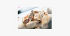 Montre femme en titane