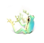 Ensemble bague et boucles d'oreilles grenouille